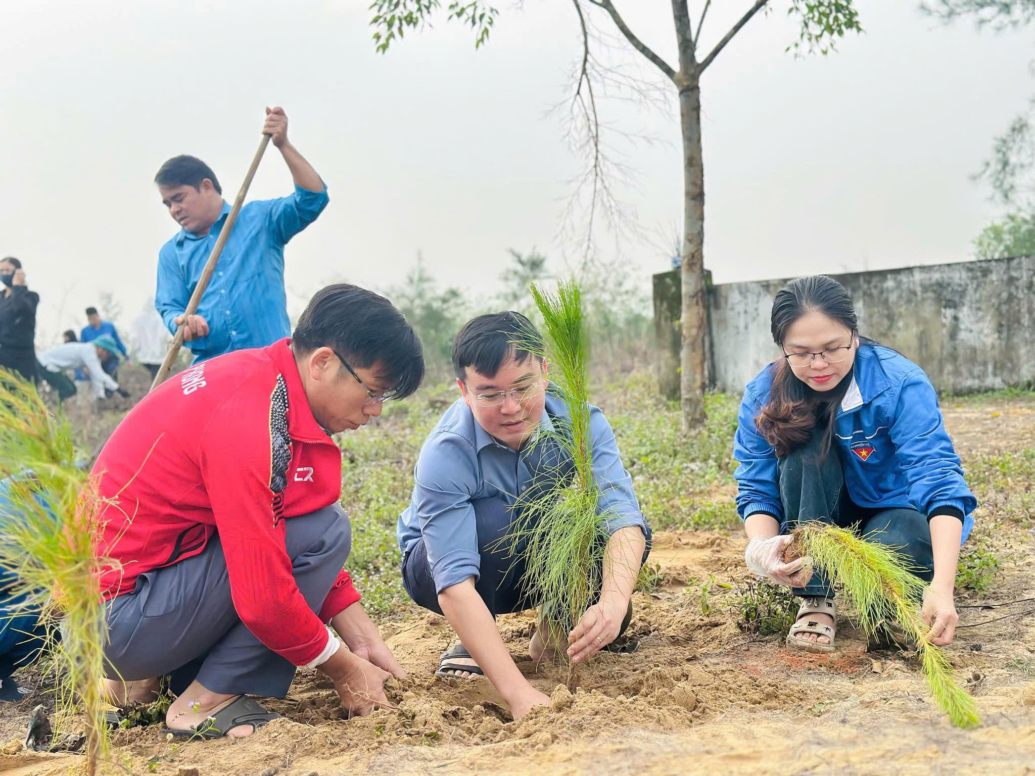 Cán bộ và Nhân dân xã Thạch Khê đồng loạt ra quân trồng cây xanh khôi phục hệ sinh thái sau bão số 10