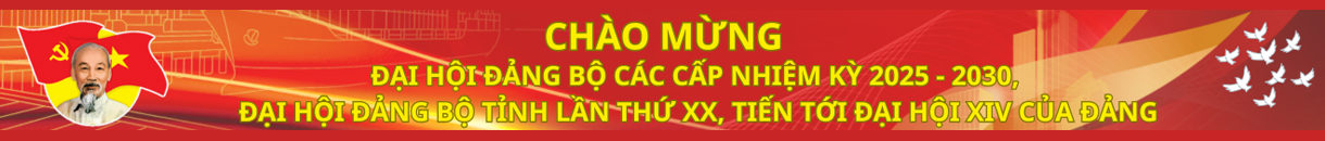 Banner 4