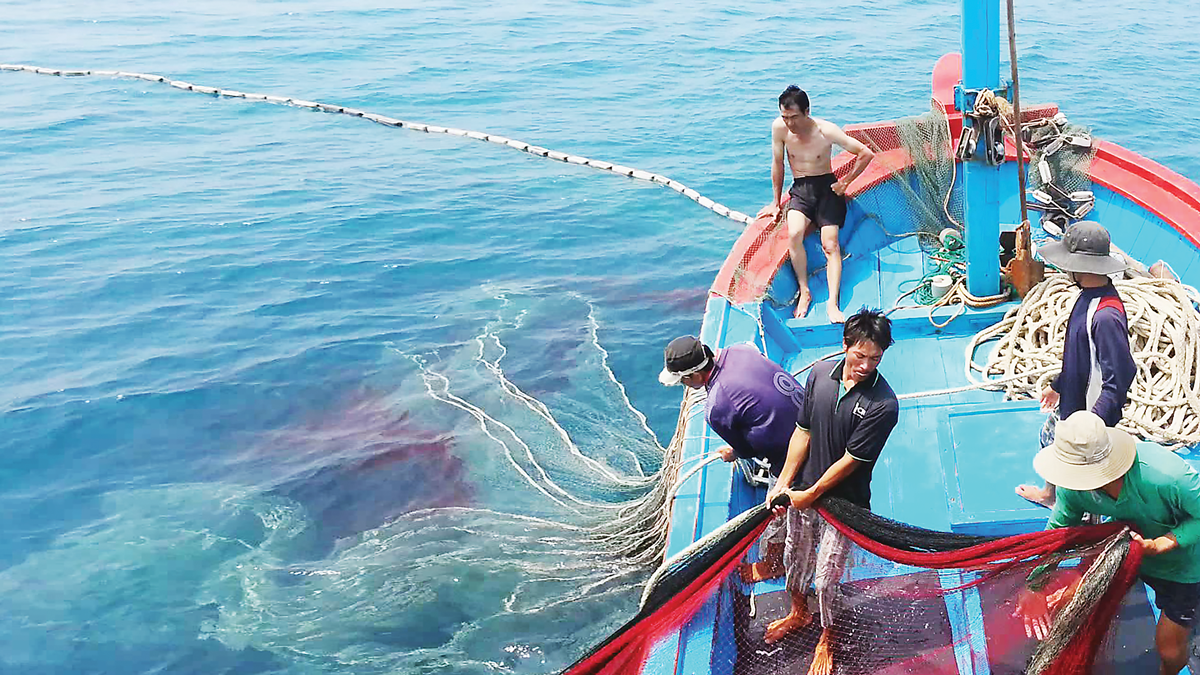 Thế nào là khai thác thủy sản bất hợp pháp (IUU), hậu quả khi bị rút “Thẻ vàng”, “Thẻ đỏ” và giải pháp thực hiện trong thời gian tới