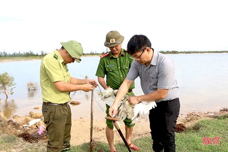 Xã Thạch Khê: Chung tay bảo vệ chim trời - Trả lại tự do cho đôi cánh!