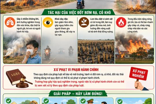 Nghiêm cấm đốt gốc rơm rạ, cỏ khô trên các tuyến đường và khu vực đồng ruộng 