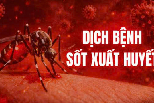 Tăng cường các biện pháp cấp bách phòng, chống dịch bệnh sốt xuất huyết trên địa bàn xã Thạch Khê