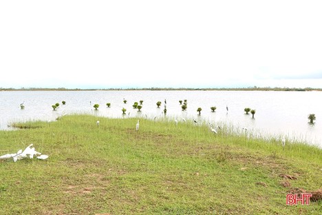 Picture1.jpg